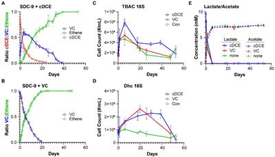 Metabolome patterns identify active dechlorination in bioaugmentation consortium SDC-9™